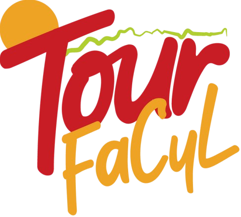 logotipo tourfacyl